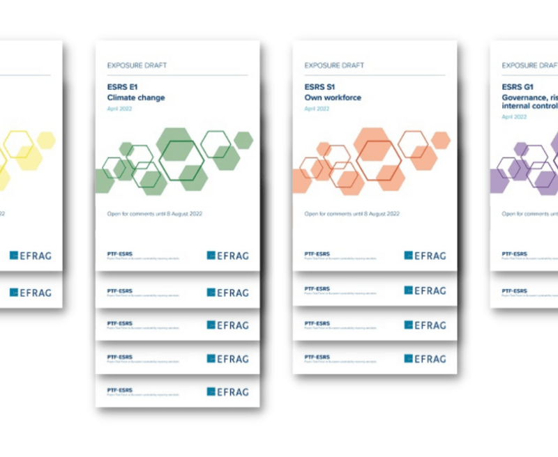 The Role of ESG Rating Agencies and Market Efficiency in Europe’s Climate Policy